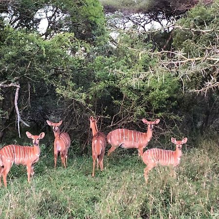Msunduze River Lodge Mkuze Dış mekan fotoğraf