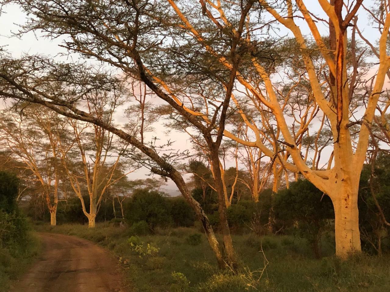 Msunduze River Lodge Mkuze Dış mekan fotoğraf
